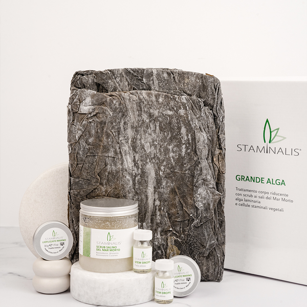 LARGE ALGAE - KIT OF 2 TREATMENTS