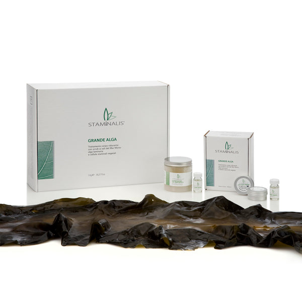 LARGE ALGAE - KIT OF 2 TREATMENTS